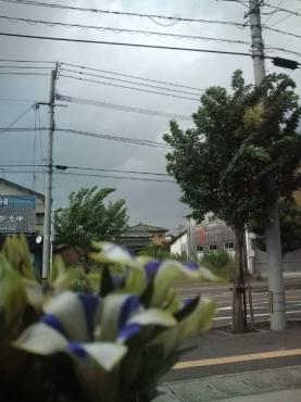 ☆台風の。。。｜「フローリスト・つつみ」　（熊本県八代市の花キューピット加盟店 花屋）のブログ